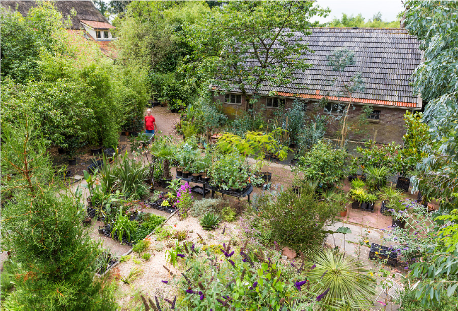 verkoop op de botanische tuin: tuinplanten te koop uit de hele wereld