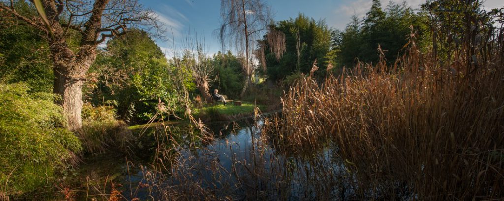 meertje in de jungletuin bij De Groene Prins