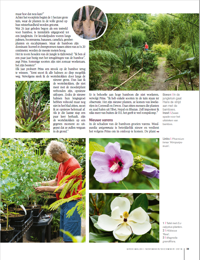 reportage groei en bloei De Groene Prins tuinieren