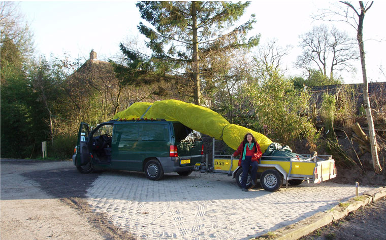 Een grote bamboe uit de botanische tuin van De Groene Prins  kan zo vervoerd worden 