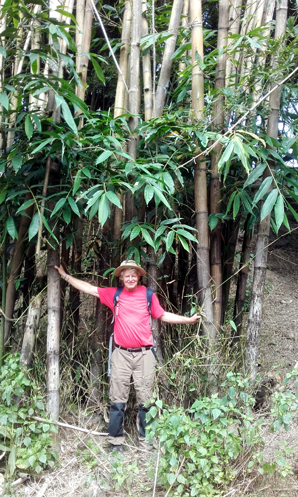 Hans Prins op plantenjacht in Noord Vietnam