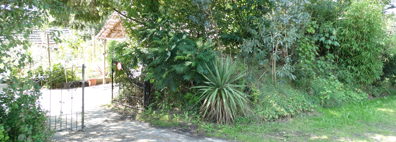 Naar kwekerij en botanische tuin De Groene Prins