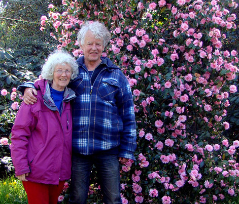 Camellia-Spring-Festival DeGroenePrins